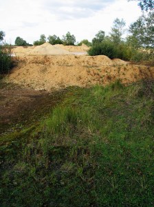 Lodazal de las descalificaciones